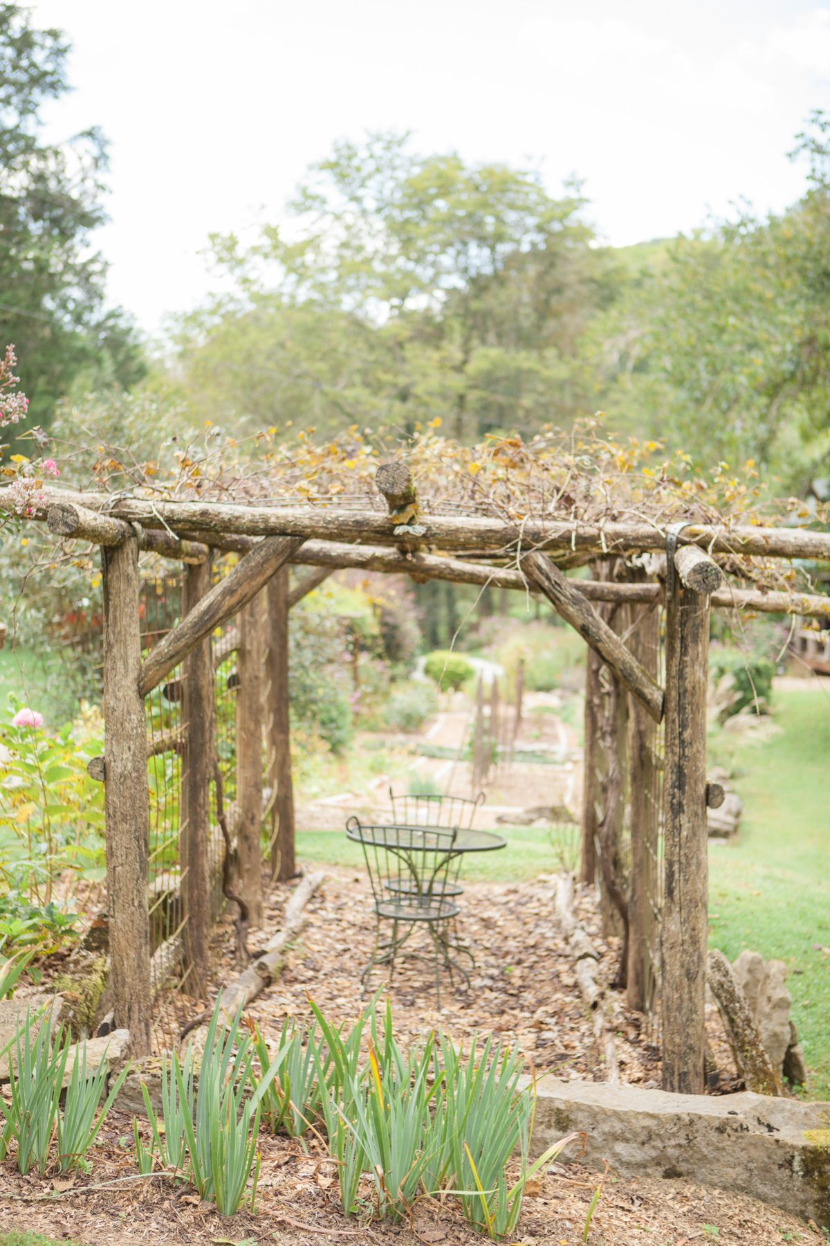 Pergola and vines at Butterfly Hollow wedding in Gordonsville, TN 