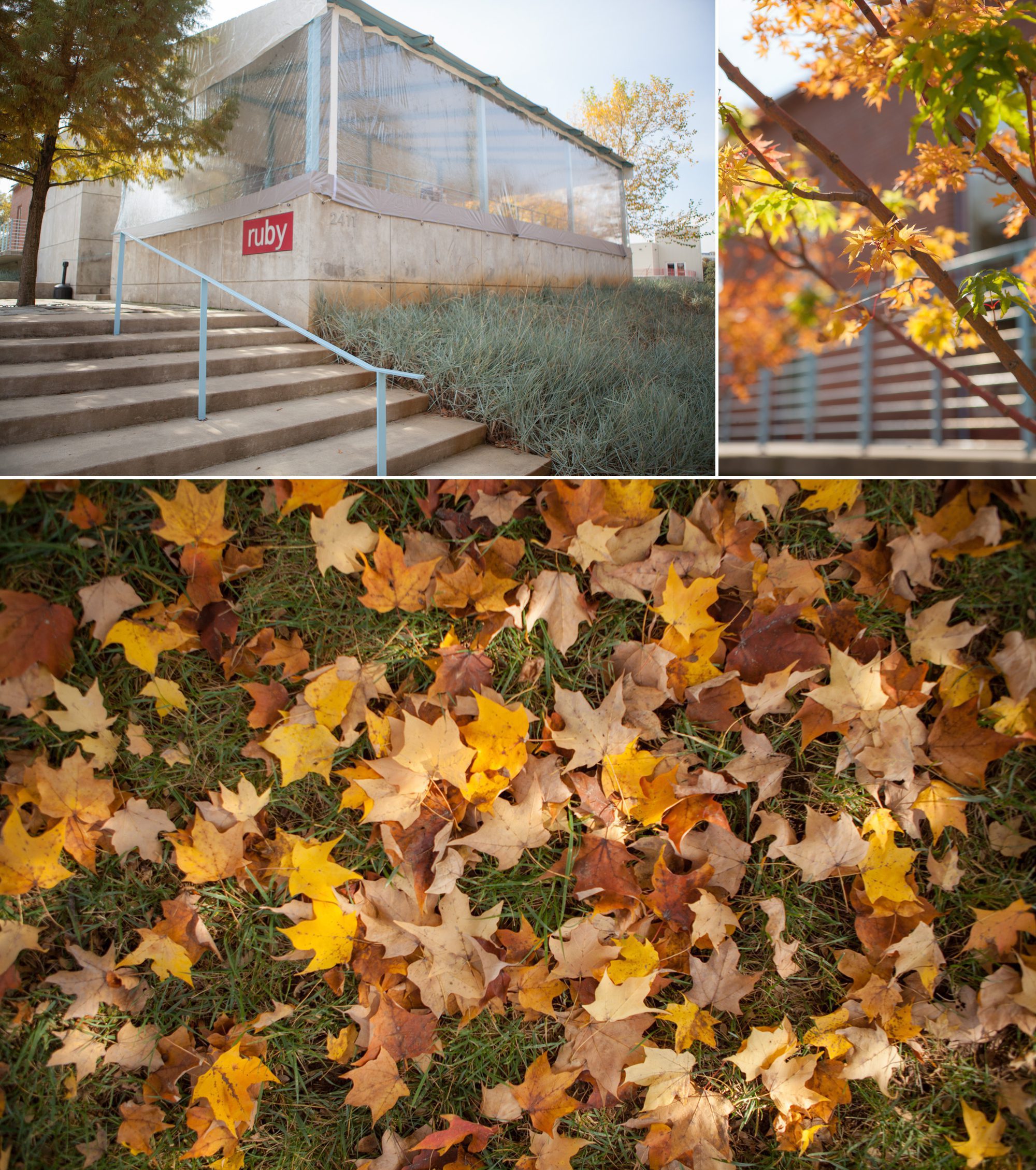 Fall colors at wedding venue at Ruby, Nashville TN. Wedding photography by Krista Lee, Krista Lee Photography Franklin TN
