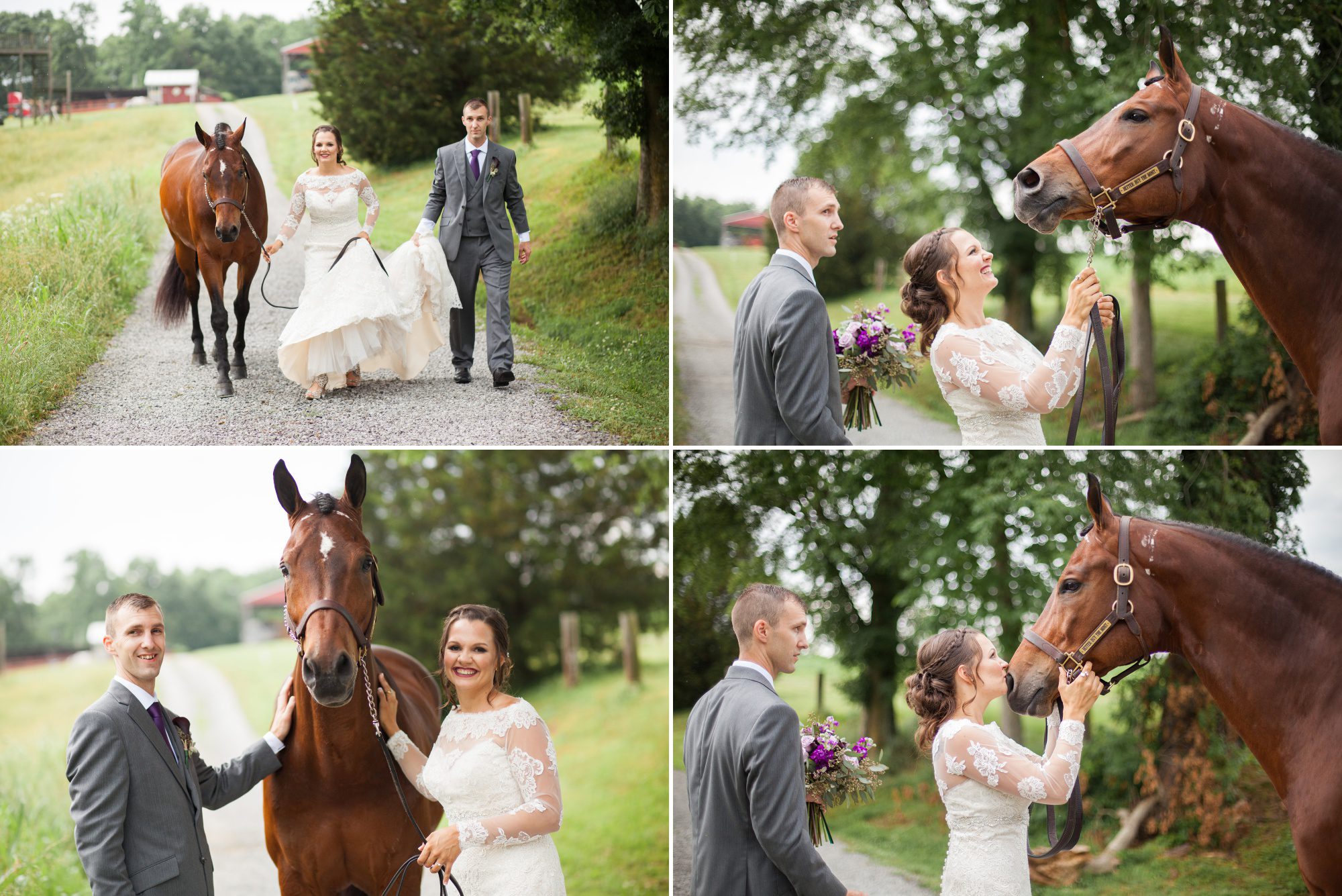 Bride and groom walk and take photos with Murray, their appendix quarter horse before summer wedding at Owen Farm in Chapmansboro, TN. Photography by Krista Lee Photography. 