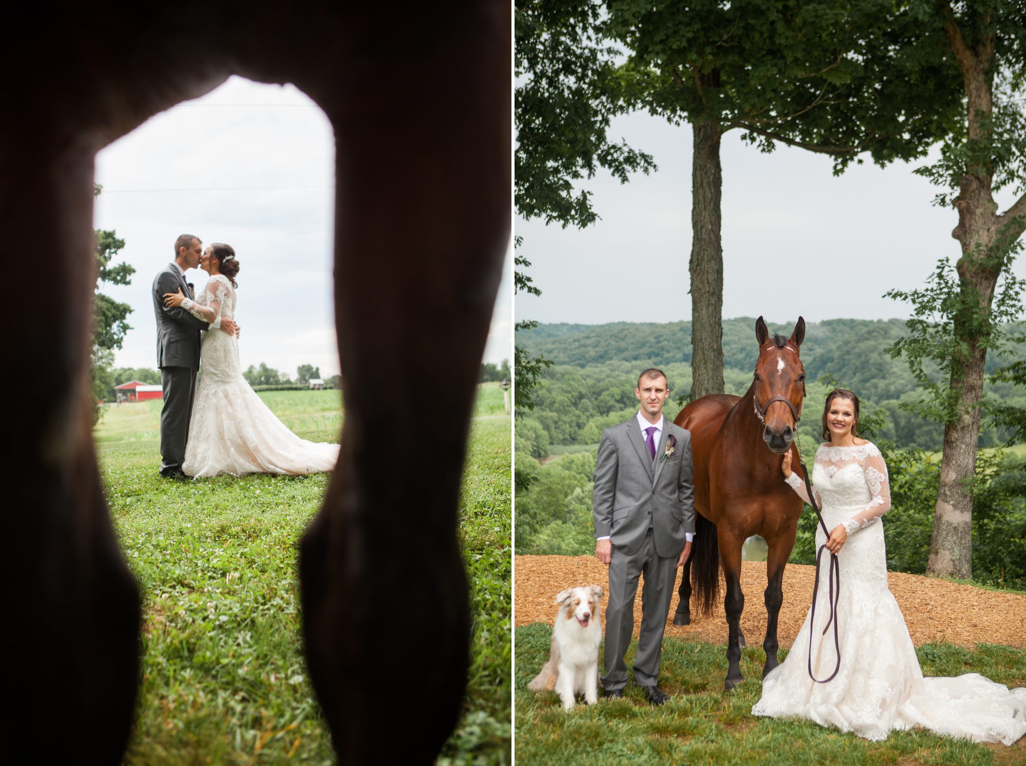 Bride and groom portrait with horse at ceremony site overlooking river before summer wedding at Owen Farm in Chapmansboro, TN. Photography by Krista Lee Photography. 