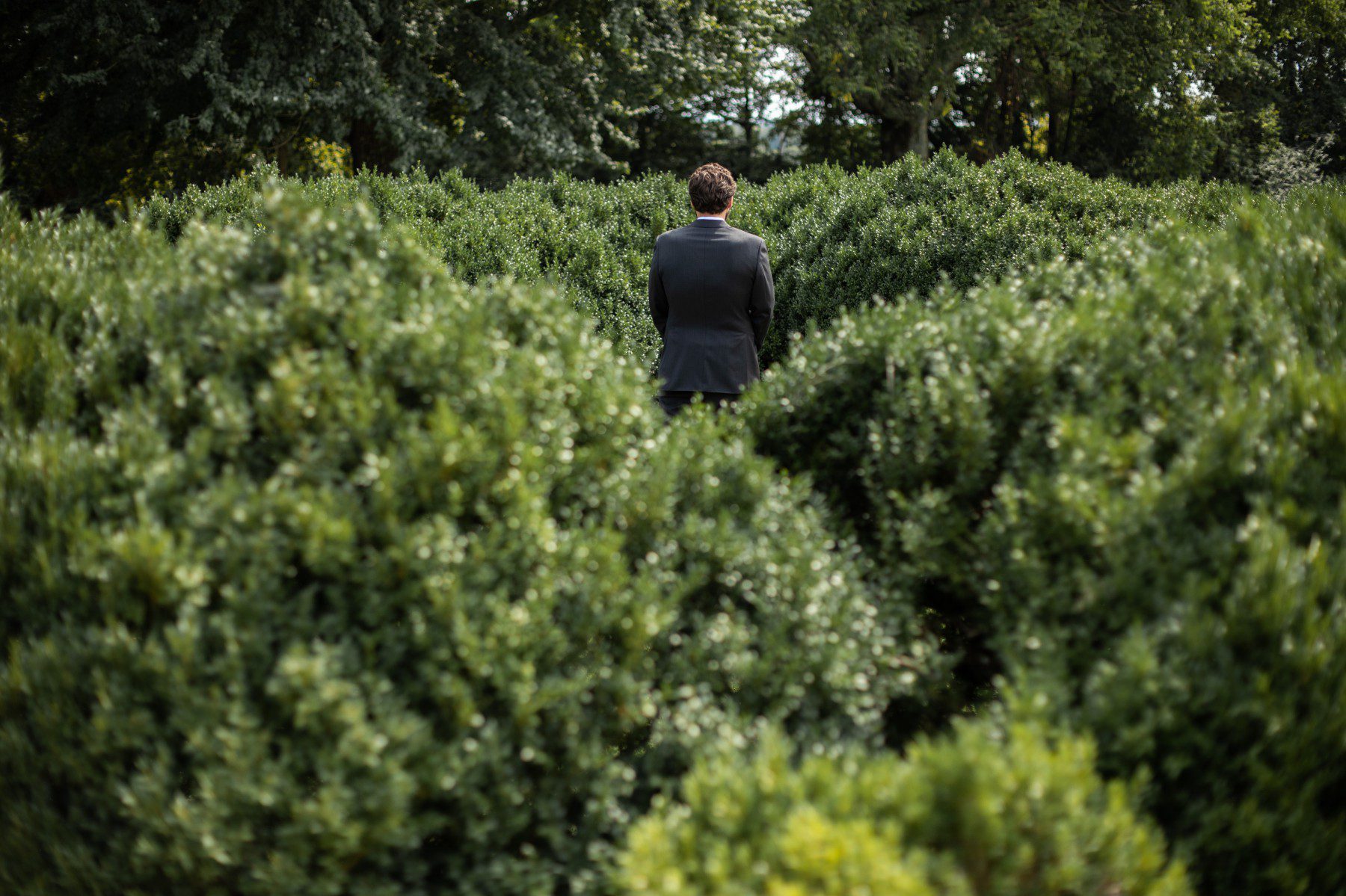Groom in boxwood garden before wedding at Two Rivers Mansion