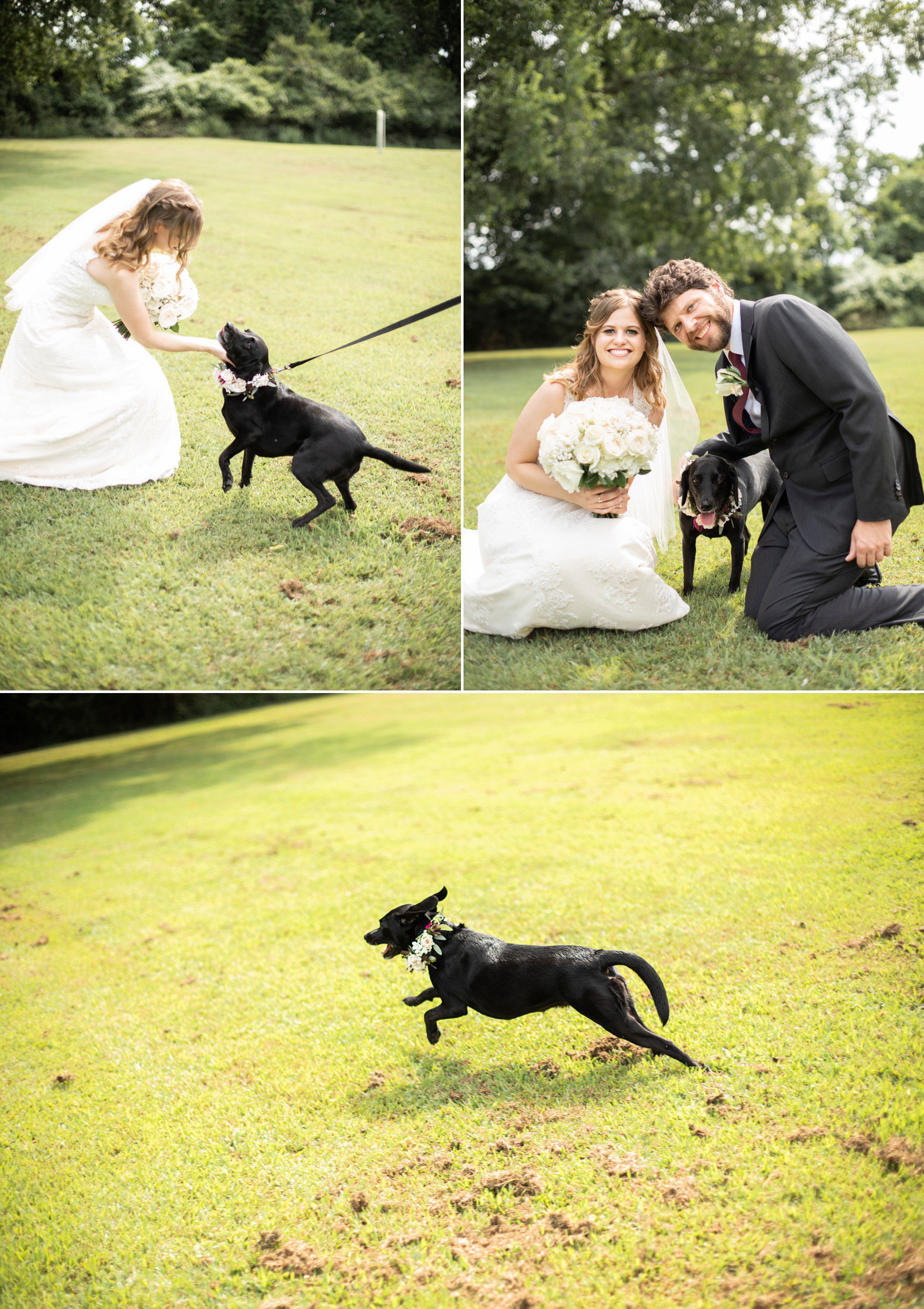 Bride and groom include dog in wedding at Two Rivers Mansion, dog friendly wedding venue Nashville