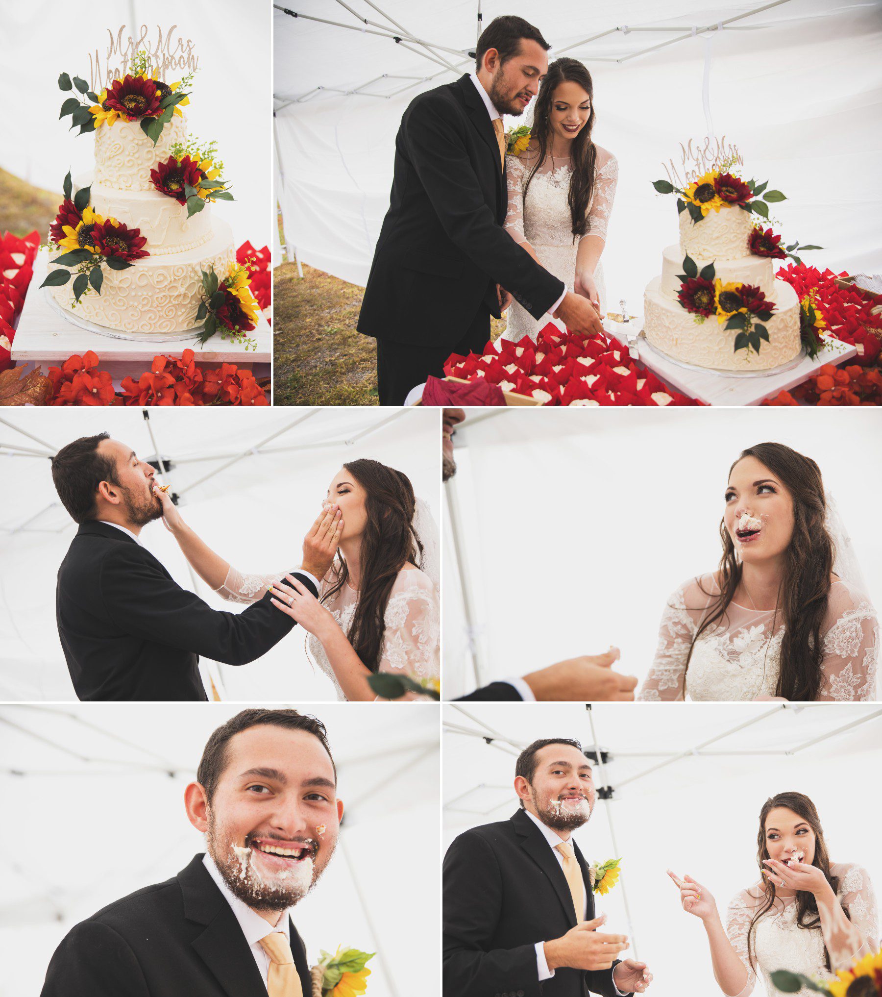 Nashville wedding photographer bride and groom cake smash 