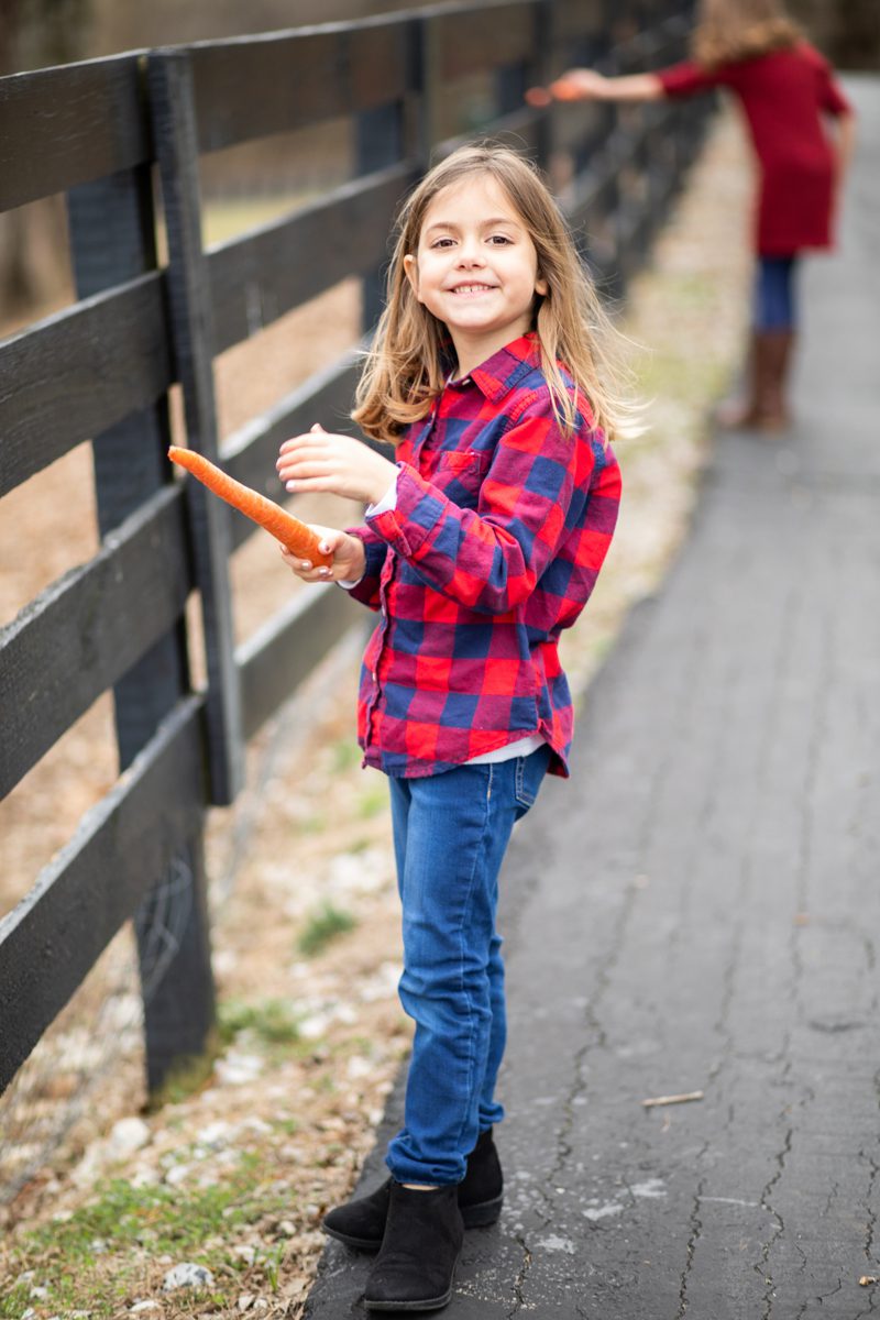 family portrait session kids feeding horses A&E Farm Tennessee