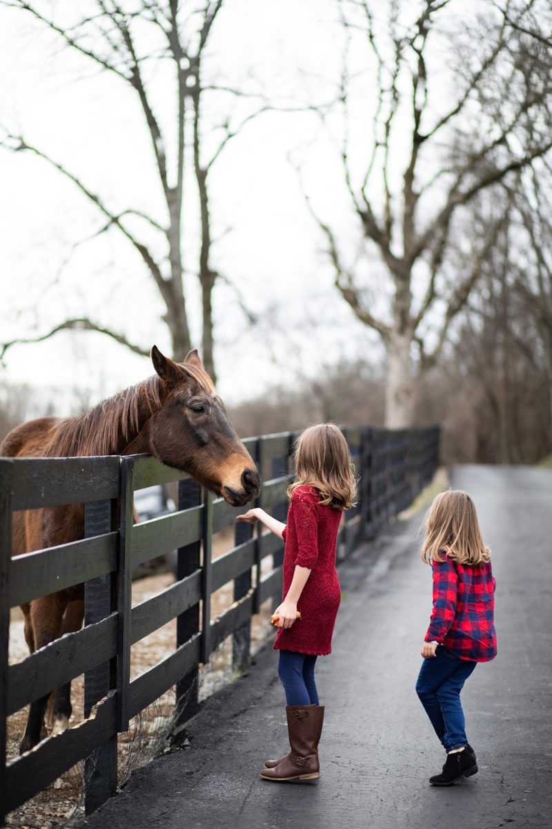 Kids feeding horses family portrait A&E Farm Tennessee