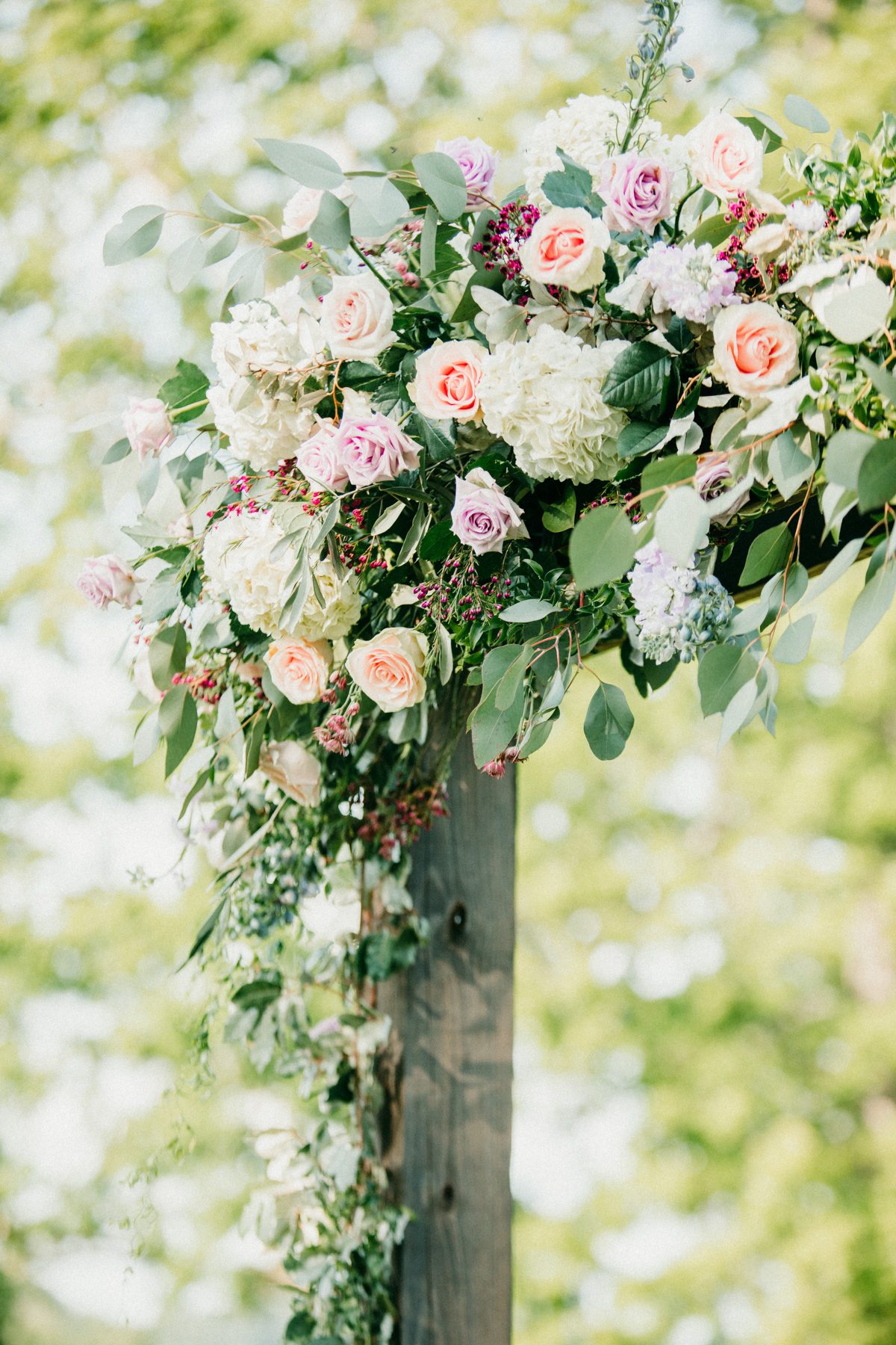 Florals for wedding arch with hydrangea and roses Front Porch Farms