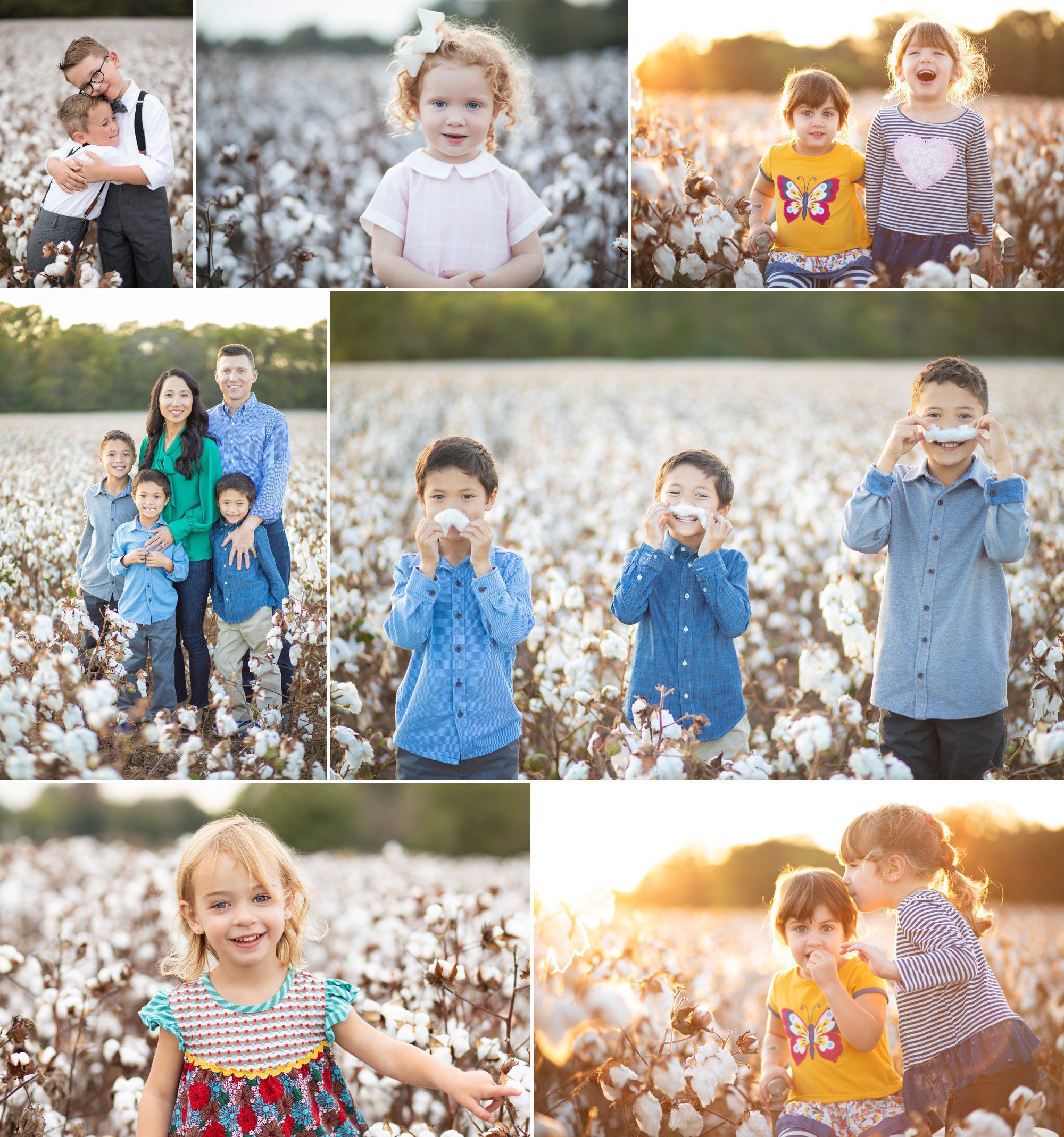 cotton field family photos nashville tn